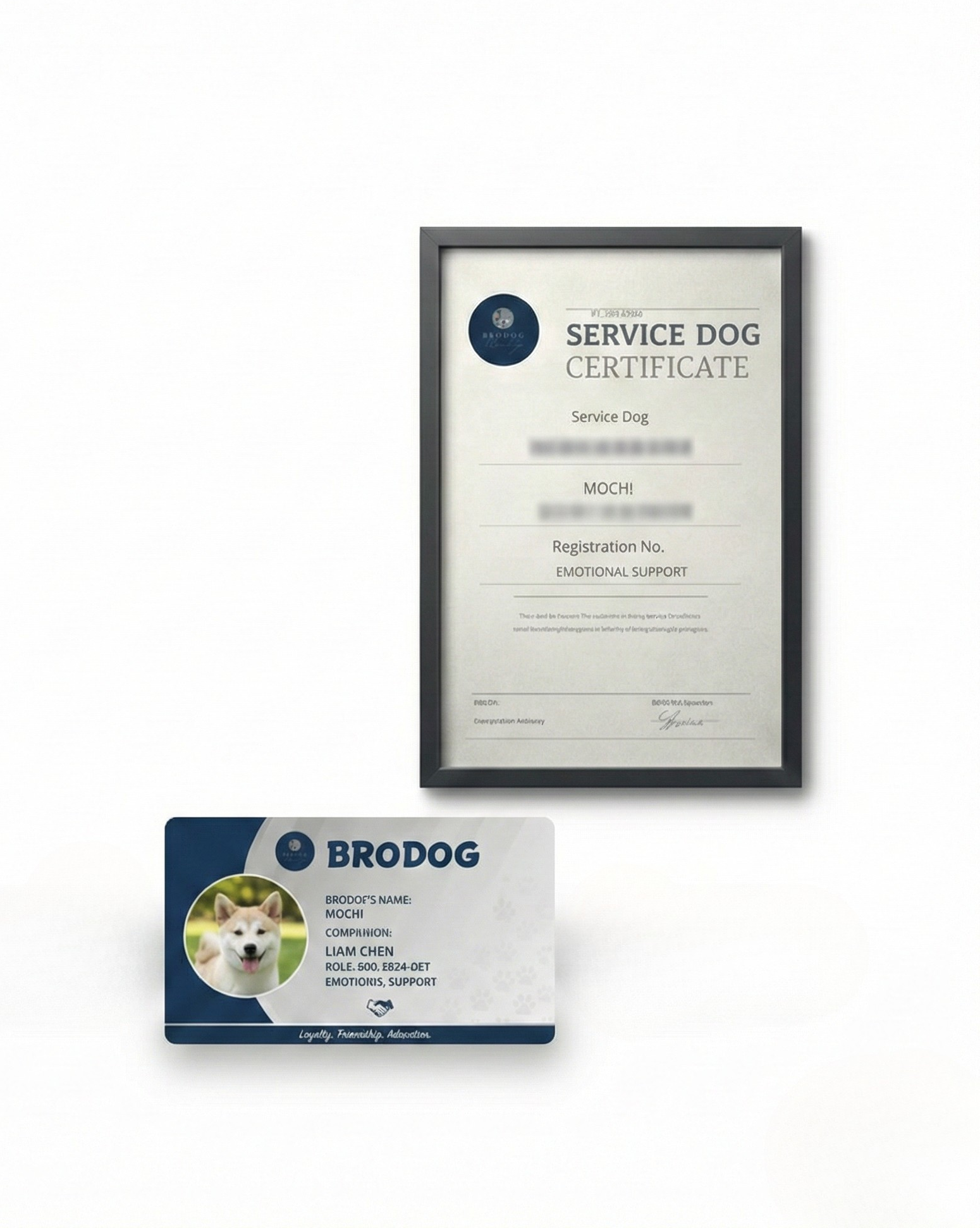 חבילה כוללת